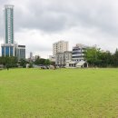 시청앞 미관광장 이미지