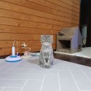 대림외과의원 이미지