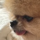 뿌야PC방 이미지