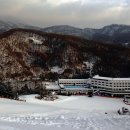 17/18 스키친구들 스타힐시즌권 공동구매 안내 [10월12일까지] 이미지