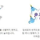 NK메디칼 이미지