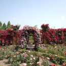 왕관식당 이미지