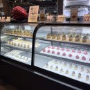 베스타뷔페 | 대전 뷔페 베스타뷔페 할인 주차 평일디너 후기 가족외식 환갑돌잔치추천