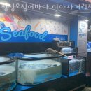 싱싱오징어바다 이미지