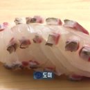 초밥이야기 네이버블로그