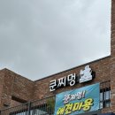 쿤찌멍 애견미용 이미지