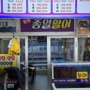 종일활어 이미지