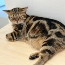 정훈동물병원 이미지