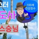 청솔정 네이버블로그