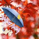 배영숙산야초밥상 이미지