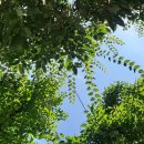 부여하늘농장 이미지