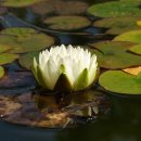 산성대로269번길 이미지