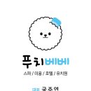 푸치베베 이미지