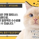해농수산 이미지
