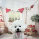 멍멍1길 23 네이버블로그