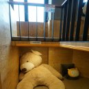 놀숲파주야당점 | 파주 야당점 놀숲! 카툰앤북카페에서 5시간 즐기고 온 후기~