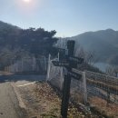 심항산 유아숲체험원 이미지