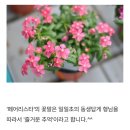 광덕어린이공원 | 치아에 철로를 깔고 궁전으로 갈 수도 있어