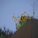 안곡습지공원 화장실 이미지