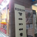 몽글몽글 펫 네이버블로그