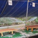 토종슈퍼 | 광주근교 담양 용흥사계곡 에어풀장 토종식당슈퍼