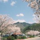 옥천군동이면석탄보건진료소 이미지