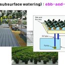 관수시스템(저면관수 ; subsurface watering) 이미지