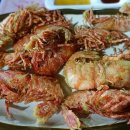 당근마차 이미지