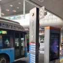 영생 농장 | [제주여행] 2024년 10월 가족 제주 여행 총정리