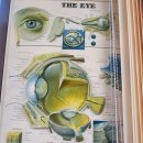 청담안마지압원 이미지