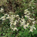 서문목욕탕 이미지