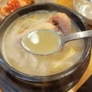 성주삼계탕 | 합정삼계탕 지호한방삼계탕 합정점 초복 말복 보양식 마라한방삼계탕 후기