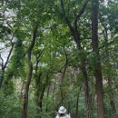 모나미미용실 | 후쿠오카 2박 3일, 탕정유월냉삼 , 수원 스타필드 모나미 매장, 불당동 고양이 카페, 도고산 등산, 불당...