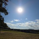 강화중앙시장 b동 | 2025 닛 커넥터스 강화 모임 | 오롯희님의 먹고 쓰고 나를 만나는 시간. 제철 과일 명상 with.강화도