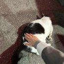 바그 관광호텔 이미지