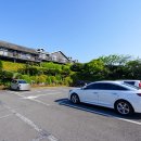 이초화향 | 제주도 서귀포 놀거리 갈만한곳 제주 숨도 수국