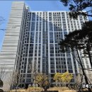 팜엔마켓