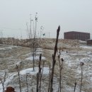 오원농장 이미지