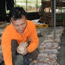 기룡농장 이미지