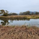 척척 행정사 사무소 이미지