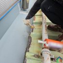 마모이룸 이미지