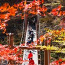 오늘부터 설악산 단풍 시작. 평년보다 4일 늦어 이미지