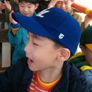 용인대 탑 태권도 이미지