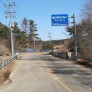시례농장 Daum카페