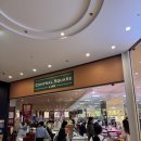 후레쉬미트 | 2025.10.28 - 30 / 조카랑 둘이서 오사카 여행 5 (텐동마키노 후기, 오사카쇼핑)