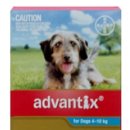 율하동물약국 이미지