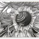 서대전여자고등학교 이미지