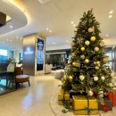 강남제일요양병원 | 강남 ㅂㄹㄷ 안과 라섹 각막강화술 내돈내산 후기