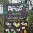 마평 Daum카페