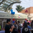 K-에스닉